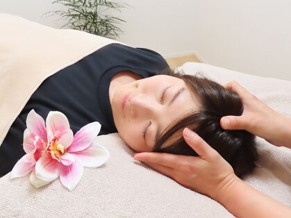 リノアロハ(Linoaloha)の写真