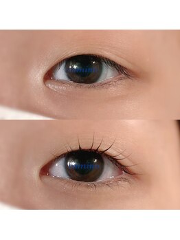 カミーノ(CAMINO)/まつげパーマ