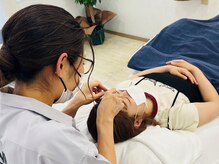 ルピナス(Lupinus)/