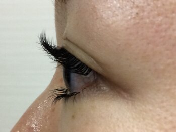 シュシュ(chou chou)/セーブル140本(chouchou吉祥寺)