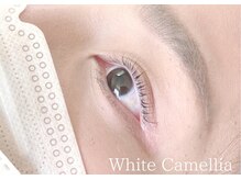 ホワイトカメリア(White Camellia)/次世代!まつ毛パーマ UpwardLIFT