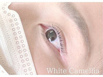 ホワイトカメリア(White Camellia)/次世代!まつ毛パーマ UpwardLIFT
