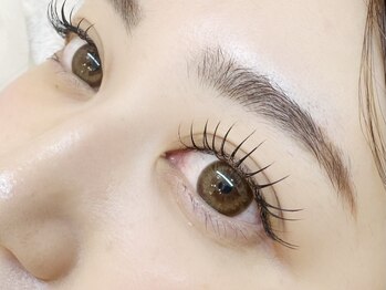 スリーズ(Cerise)/フラットラッシュ120本