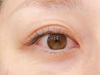 アルター エクラ(aL-ter e´clat)/アイラッシュ　120本