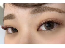 ヒッポ(Hippo)/レッドブラウン120束