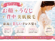 エルミオーレ(ELMIOLE)