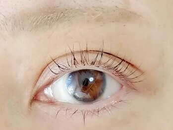 リアン(Lien)の写真/自まつげの状態を見極めて丁寧に施術！自まつげの健康を守りながら、モチの良さも◎理想の目元を実現♪