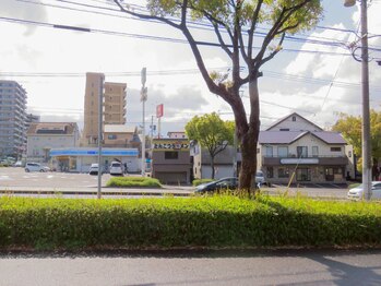 オハイ アリイ(Ohai Alii)/道案内