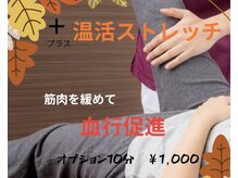 アビエスフィルマ(abies firma)