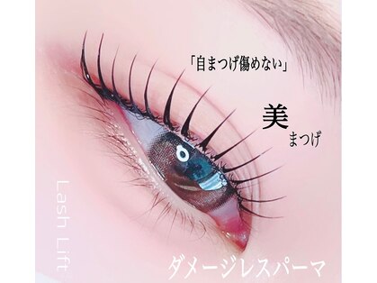 モンボーシル(Mon beau Cil)の写真