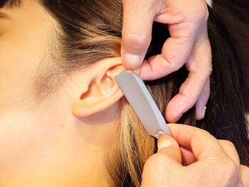 サロン ド ラマン メジロ(Salon de Lamain .mejiro)/お耳のうぶ毛シェービング