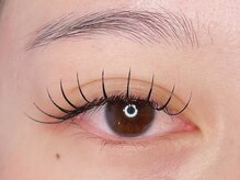 エルレ(ELRe)/フラット120本