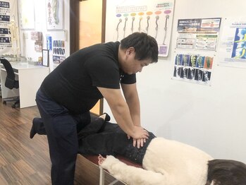 スターカイロプラクティックアンドビューティー(STAR Chiropractic&Beauty)/