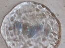 PG014971754