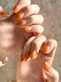 アレッタ 大森町(aletta)/ひと味違うワンカラー