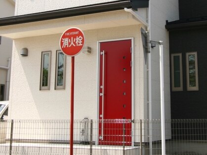 ディーノ (dino)の写真