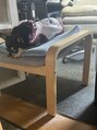 はあとねいる 千里丘店&nbsp;家族で飼っているチワワです＊