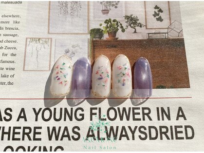 アネモネ(ANEMONE)の写真