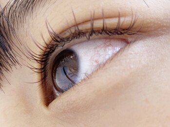 ウルカ アイラッシュ(uruka EYELASH)/フラットラッシュブラウン 80本