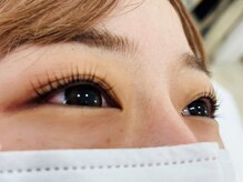 ルピナス(Lupinus)/