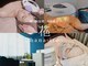 ハナイロ(hana-iro)の写真