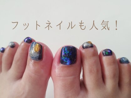 コトン(coton)の写真