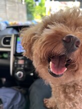 デア(Dea)&nbsp;アナン 