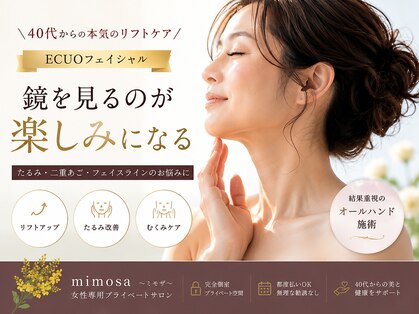 ミモザ(mimosa)の写真