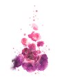 癒しの森 ユユ