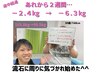 【５kg以上のリバウンドを経験した人向け】ー10kgを目指す初回ダイエット