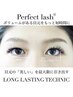 【Perfect lash100束】自まつ毛が抜けるまで外れない技術