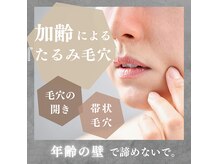 クラヴェル(Clavel)