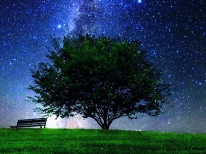 ヘッドステラ 吉祥寺(Head Stellar)の写真