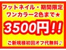 ≪フット≫★平日限定・ご新規様限定★オフ込/ワンカラー2色迄 ¥4400→¥3500