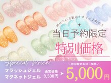 《当日予約限定》人気のマグネット/フラッシュジェル☆オフ代込