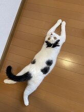 メルモ(Melumo) norio 