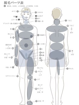 プランドール 京都店(PRENDRE)/【メンズ】高速光脱毛 各パーツ