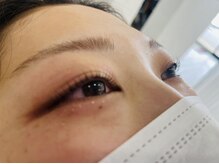 ルピナス(Lupinus)/