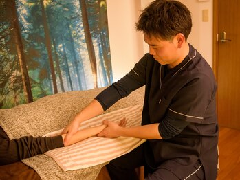 イポモエア/ハンドリフレ