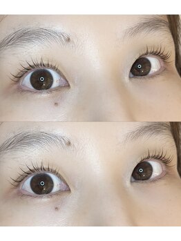 アイラッシュプラン リノ(eyelash plan RINO)/韓国風パーマ