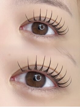 チルザルト サロン/パリエク フラットラッシュ