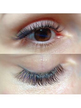 カミーノ(CAMINO)/