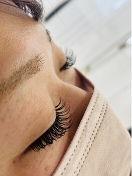 ルピナス(Lupinus)/