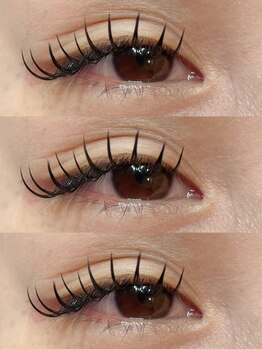 マイラッシュ 草津店(my lash)/ダブルフラットラッシュ100束