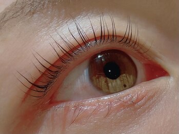 カラン 焼津店(CALIN)/ラスティングカール