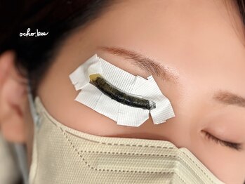 オチョビー(ocho.bee)/まつ毛パーマの流れ(3)