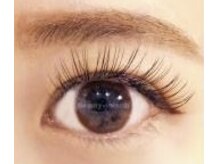 エステサロンルシア (LUCIA)/120本まつ毛エクステ初回4400円