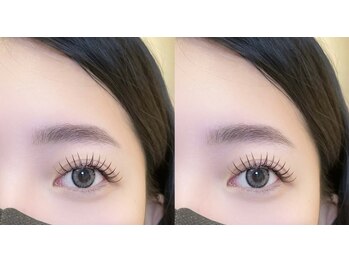 エイシェル/パリエク80本