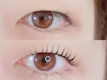 リリーミー(Lily Me)の写真