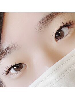 ポピー(POPPY)/フラットラッシュ140本